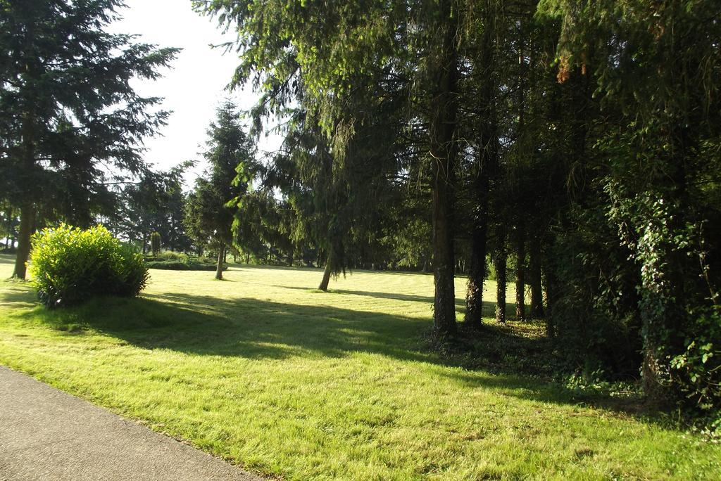 Les Vedieres Conflans-sur-Anille Esterno foto